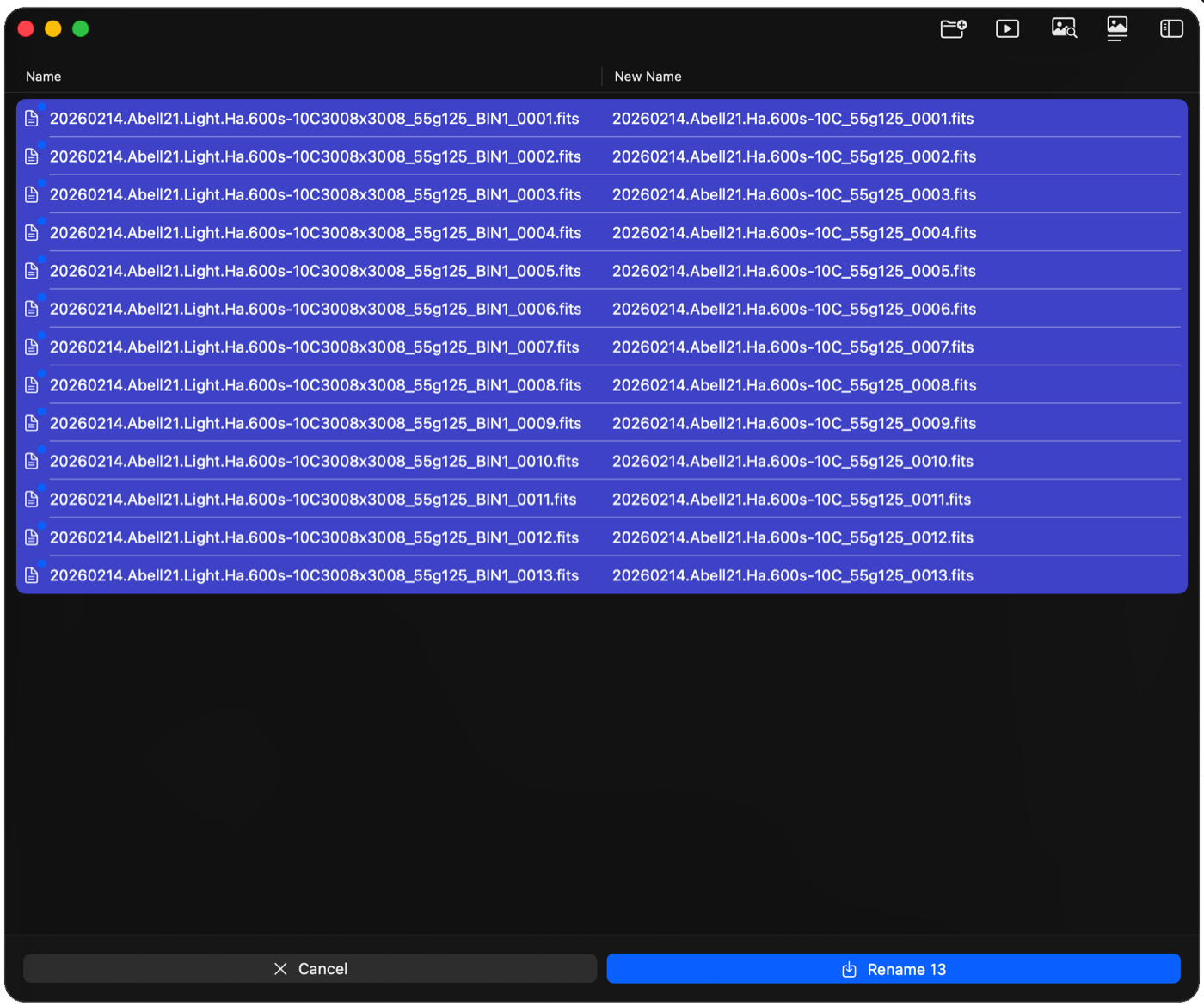The New Name column showing a preview and a skipped file